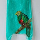 Quetzal (Nr. 27)