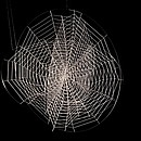 Three Spiderweb Ball