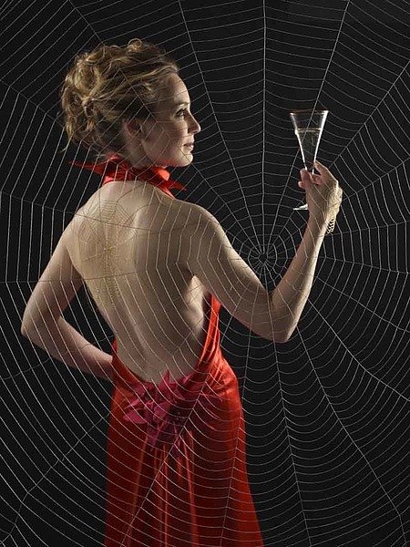 Big Spiderweb
